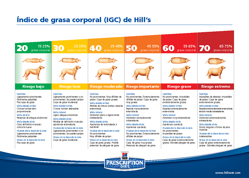 Indice Grasa Corporal Perro