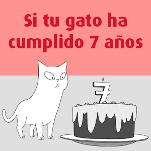 Hipertension en gatos