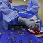 Cirugía veterinaria con el paciente anestesiado y monitorizado