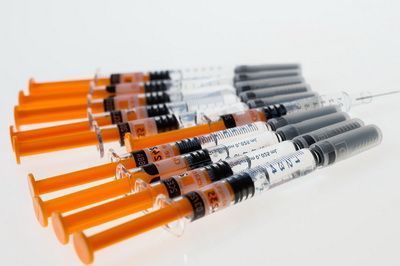 Las vacunas son imprescindibles para mantener la salud de tu mascota